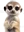Gizmo