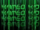 kameokid1.webp