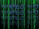 kameokid1.webp