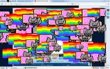 NYAN D8.webp
