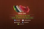 shoeagletpostcard.webp