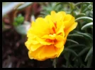 21f784011e466cc8e45824878709020e.webp