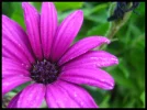 c7f0a395ba77b3cc2e30ffad790ccfa7.webp