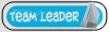 WiiTeamLeader-1.webp