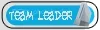 wiiTeamLeader2-1.webp