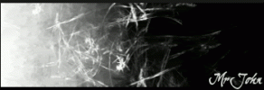 sotw2.gif