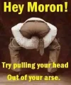 moron.webp