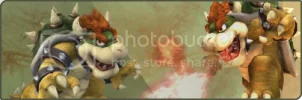 Bowserbanner.webp
