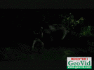 smokeysig-1.gif
