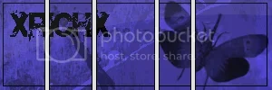 GFX.webp