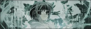 yuki.webp
