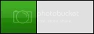 40.webp