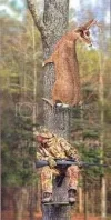 funny-23.webp