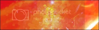 t2.webp