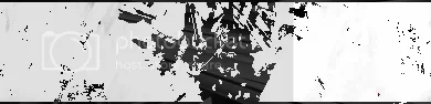 ichigospt2.webp