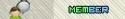 gdmemberrank.webp