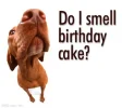 Do-I-Smell-Birthday-Cake.webp