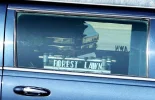 coffin-in-hearse_1438793i.webp