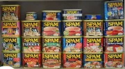 spam-collection-2007-06.webp