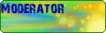color_13.webp