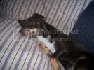 101_1039.webp