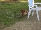 camera047.webp