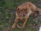 camera048.webp
