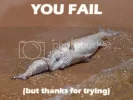 fail3.webp