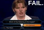 millionaire_idiot_fail.webp