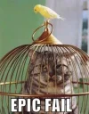 2212237738_d37cec7599.webp