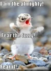 almighty.webp