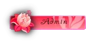 admin16.webp