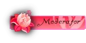 mod15.webp