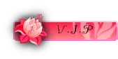vip12.webp