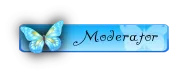 mod16.webp