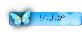 vip13.webp