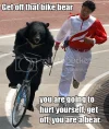 bearbike.webp