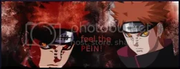 PEIN-1.webp