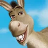 donkey.webp