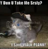 Lolcat.webp