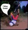 faceplant.gif