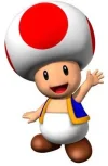 toad1.webp