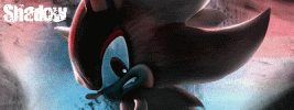 shadowsig-1.gif