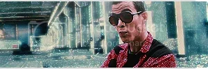 steve-osig2.webp