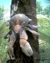 1118870692_726118a36c.webp