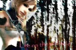 lifeonwildside.webp