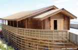 noahs_ark_1.webp