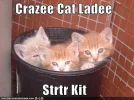 funny-pictures-crazy-cat-lady-starter-kit.webp