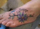tatu11.webp