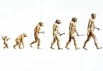 -sorry-to-charles-darwin-over-his-evolution-theory.webp